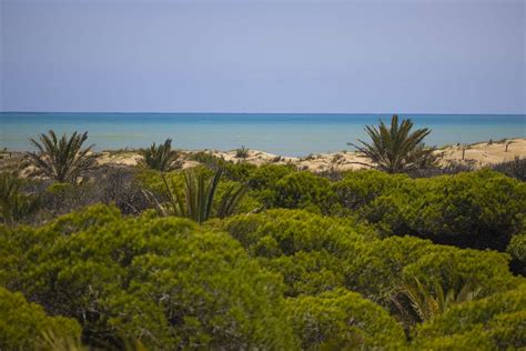 playa del rebollo gay